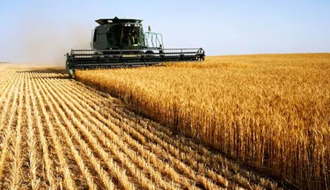 Management of the Food & Beverage Supply Chain: Cost or opportunity?