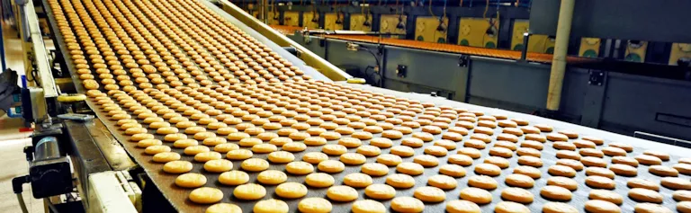 Cookies production line food safety