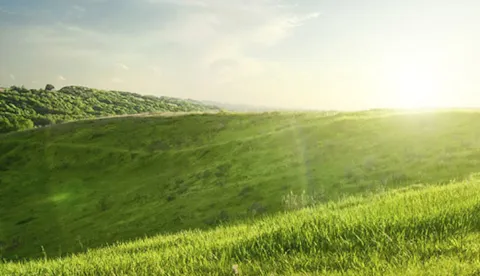 Do companies care about the environment?