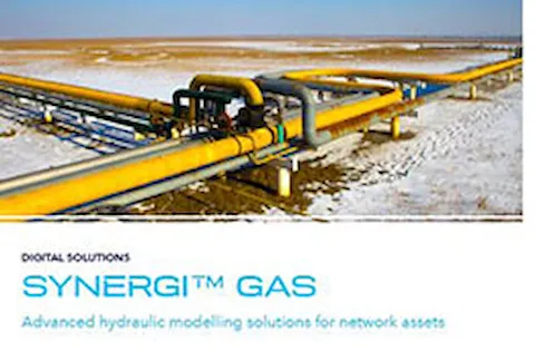 Synergi Gas brochure