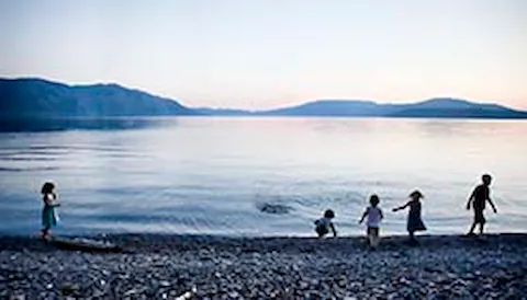 Synergi Life - Environmental management software