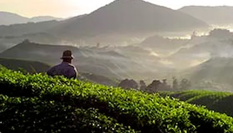 Synergi Life - Third Party Management risk software